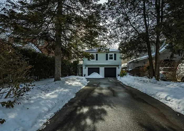 Entire House In Heart Of North York In The Nature